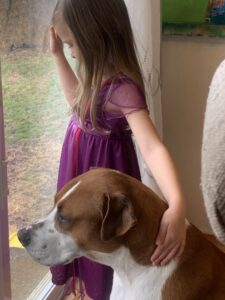 Young girl looking out window with one hand over dog and the other hand up on window.